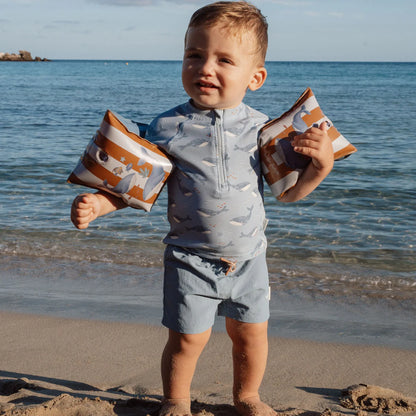 Little Dutch zwembandjes Ocean World (18-30kg)
